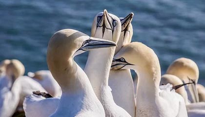 香港官员：1.19万亿元人民币存在香港 离岸市场全球第一