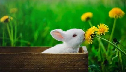 前三季度新疆乌鲁木齐天山国际机场口岸国际客货运输“两旺”