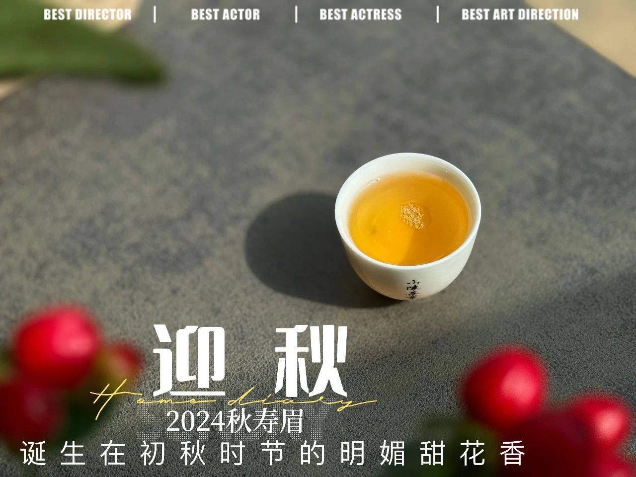 19.9元一斤的秋白茶，到底是惊喜？还是惊吓？扒一扒低价白茶真相