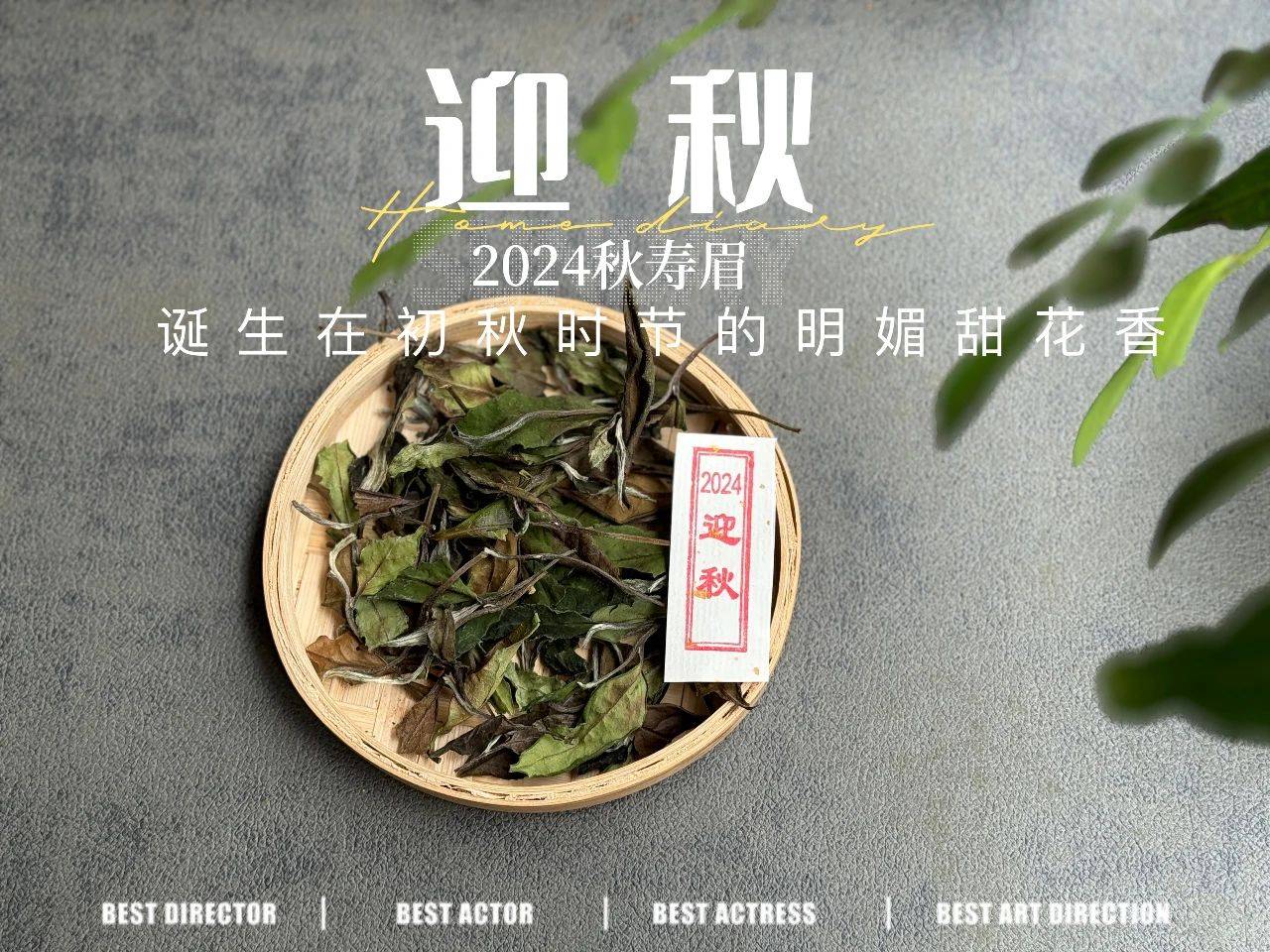 19.9元一斤的秋白茶，到底是惊喜？还是惊吓？扒一扒低价白茶真相