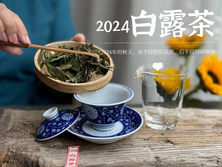 19.9元一斤的秋白茶，到底是惊喜？还是惊吓？扒一扒低价白茶真相