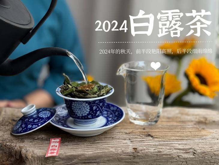 19.9元一斤的秋白茶，到底是惊喜？还是惊吓？扒一扒低价白茶真相