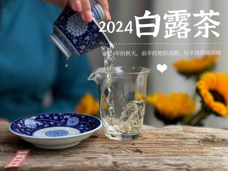 19.9元一斤的秋白茶，到底是惊喜？还是惊吓？扒一扒低价白茶真相