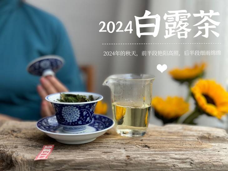 19.9元一斤的秋白茶，到底是惊喜？还是惊吓？扒一扒低价白茶真相