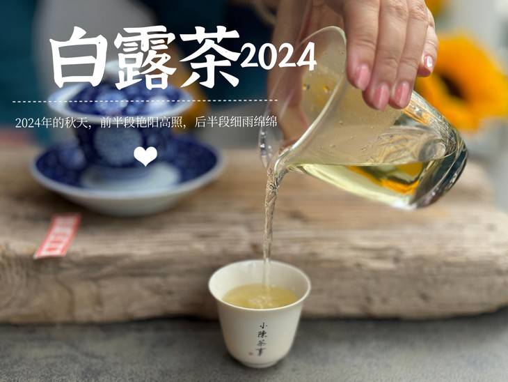 19.9元一斤的秋白茶，到底是惊喜？还是惊吓？扒一扒低价白茶真相