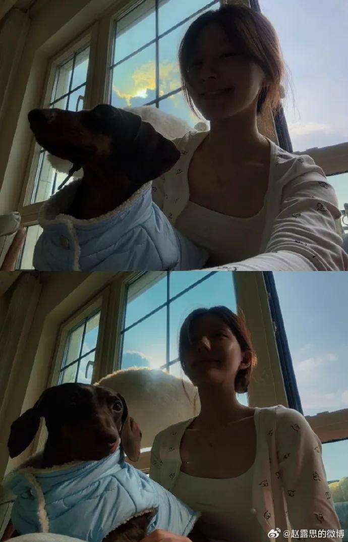 演员赵露思公布病情后首次更新微博，素颜散步，遛狗逗猫