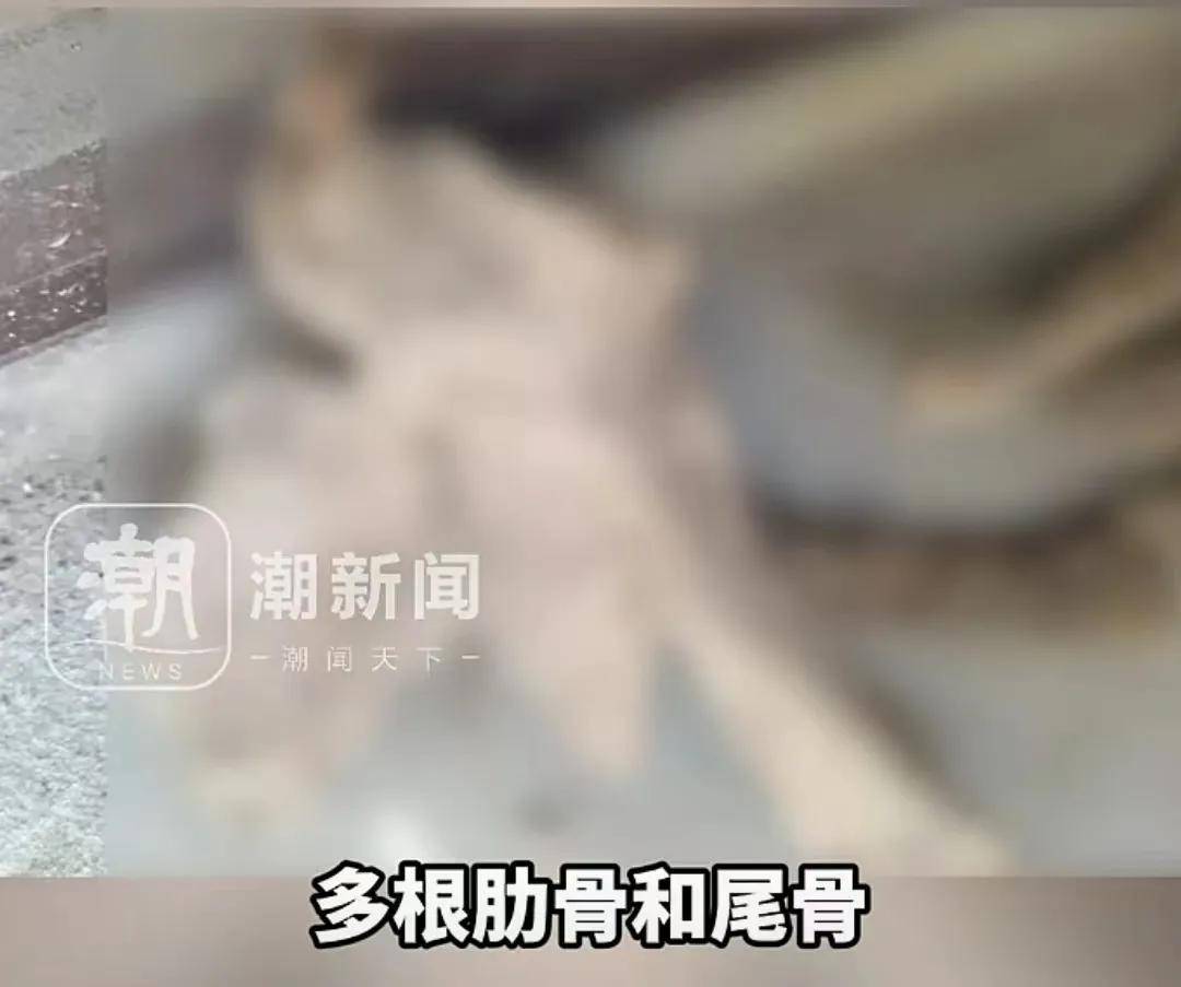 新房院子挖出的多块人骨来源曝光，警方最新披露！