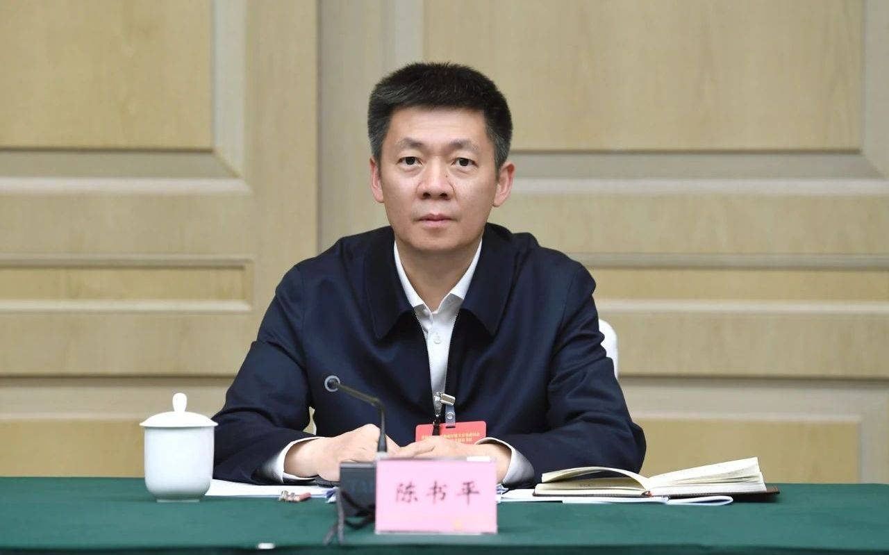 陈书平任四川省副省长
