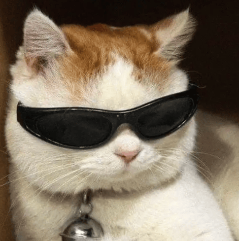 “不亚于春节回家”!凌晨5点,深圳有人已经堵在路上……