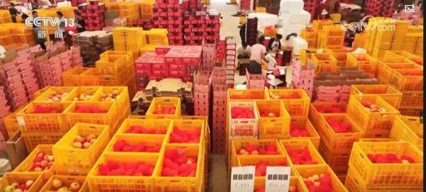 产销两旺！“小特产”变身变身乡村振兴“致富果” 激活“甜蜜经济”新热力