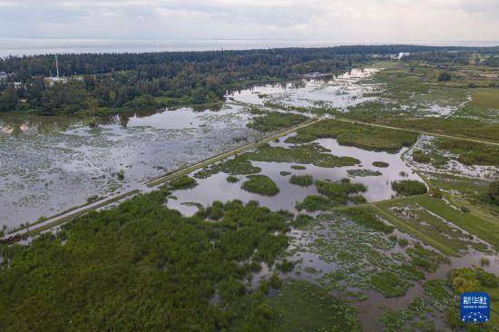 海南昌江海尾国家湿地公园恢复开园