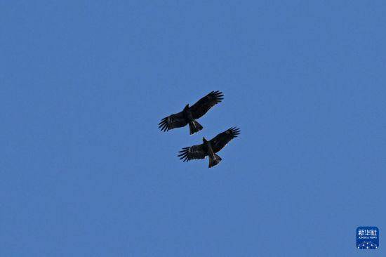 海南昌江海尾国家湿地公园恢复开园