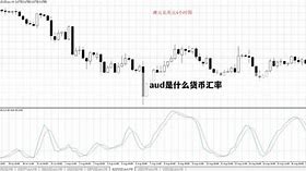 什么是货币交易(什么是货币交易职能的体现)