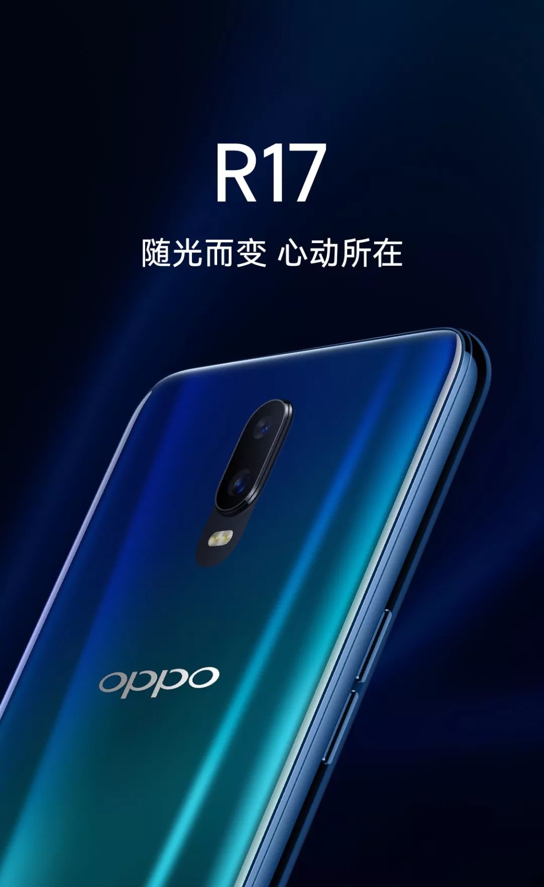 什么是可币(什么叫可bxc)