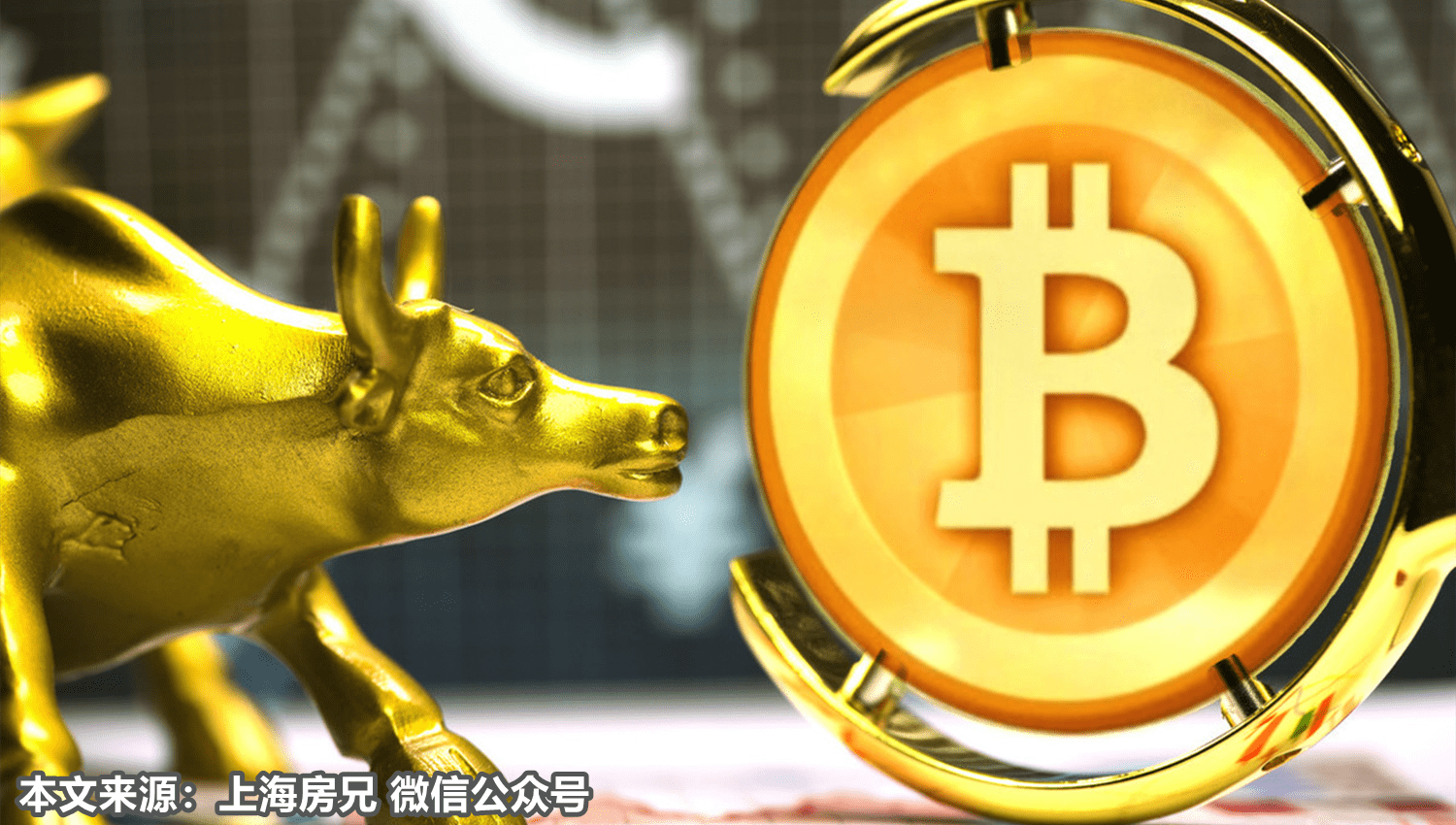 柚子币(柚子币app区块链下载)