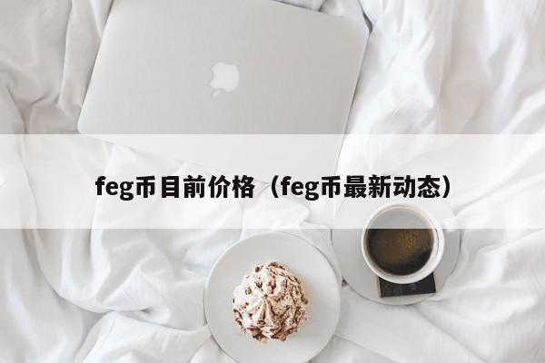 FEG币(feg币中文社区)