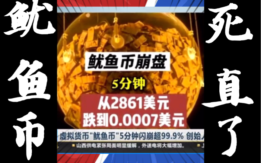 鱿鱼币(鱿鱼币价格今日行情最新)