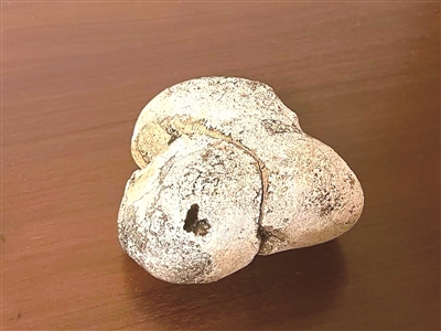 鱿鱼币(鱿鱼币价格今日行情最新)