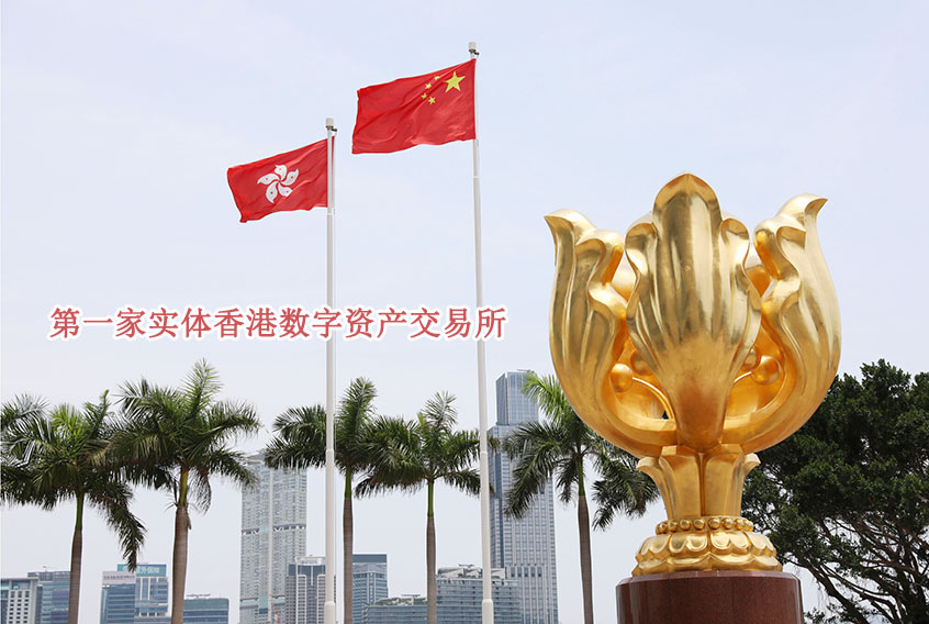 HKD交易所(hkd交易所合法吗)