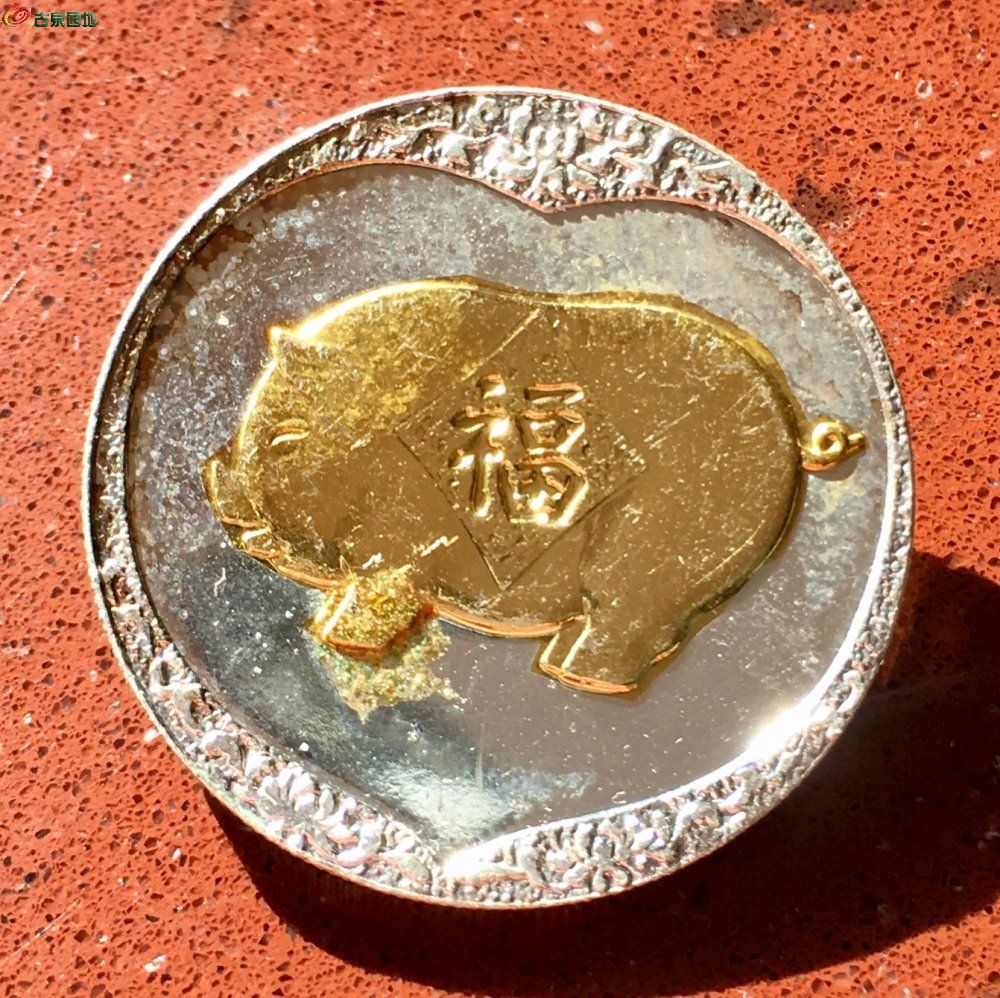 猪猪币(猪猪币的官网最新消息)