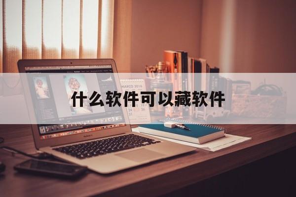 什么软件可以藏软件(有没有什么软件可以藏软件)